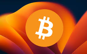image banner